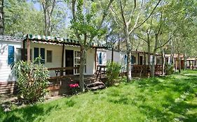 Thalatta Camping